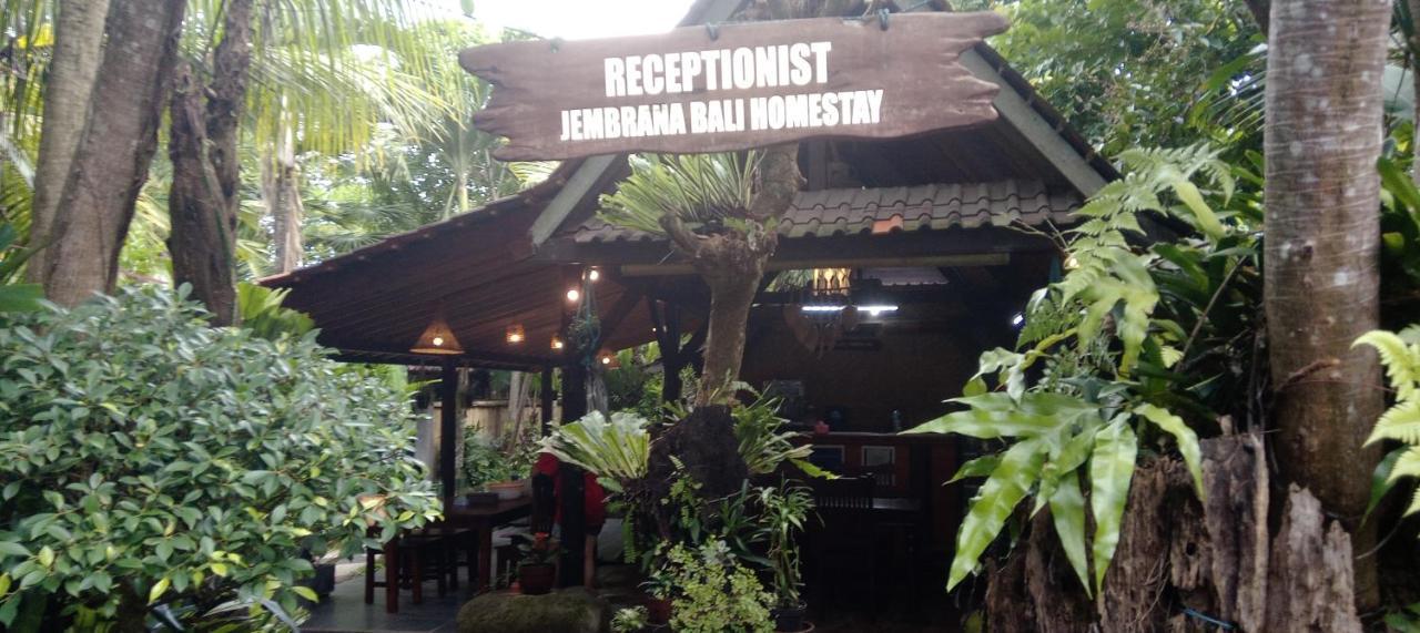 Jembrana Bali Homestay Negara  Экстерьер фото